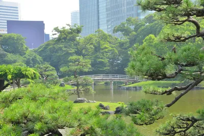 DSC_3390 (Large).JPG